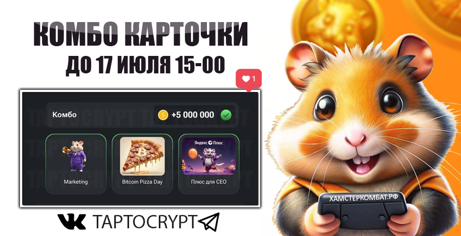Хомяк комбо 17 августа