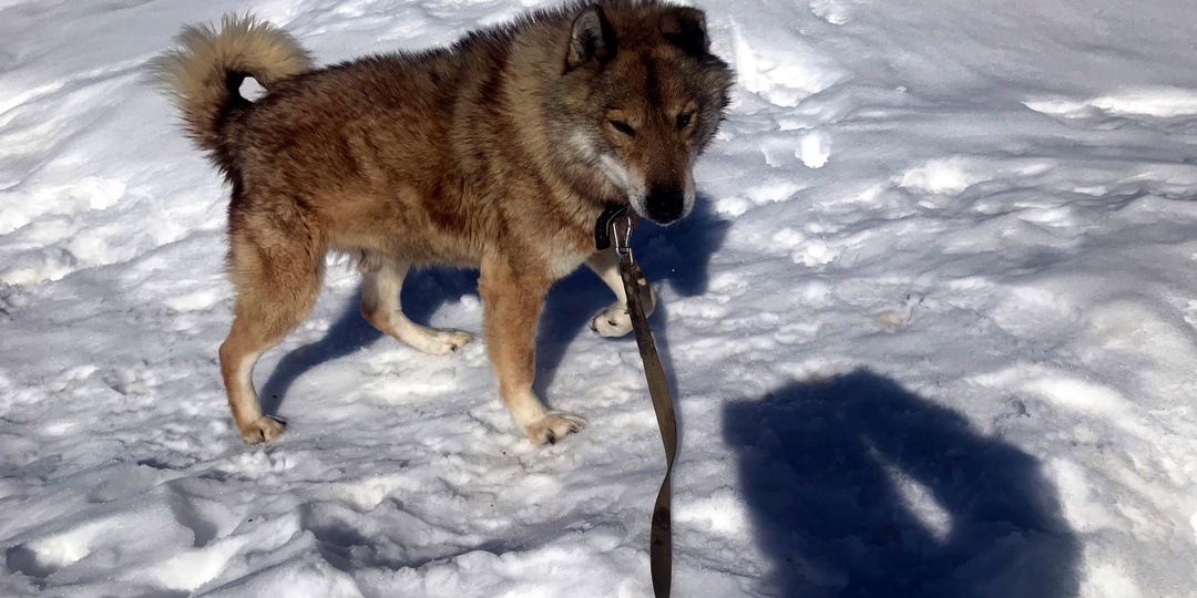 Пришло время прощаться. Последний бой Пирата