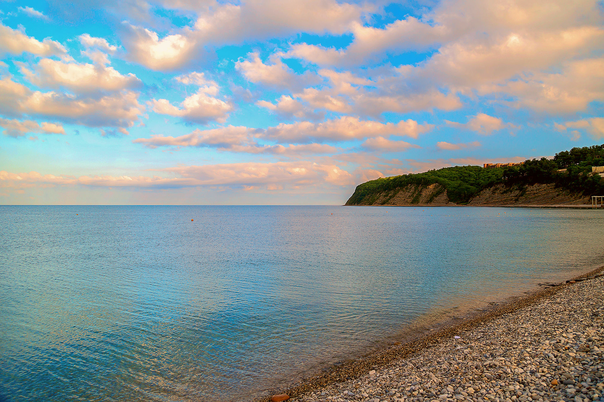 из открытого доступа