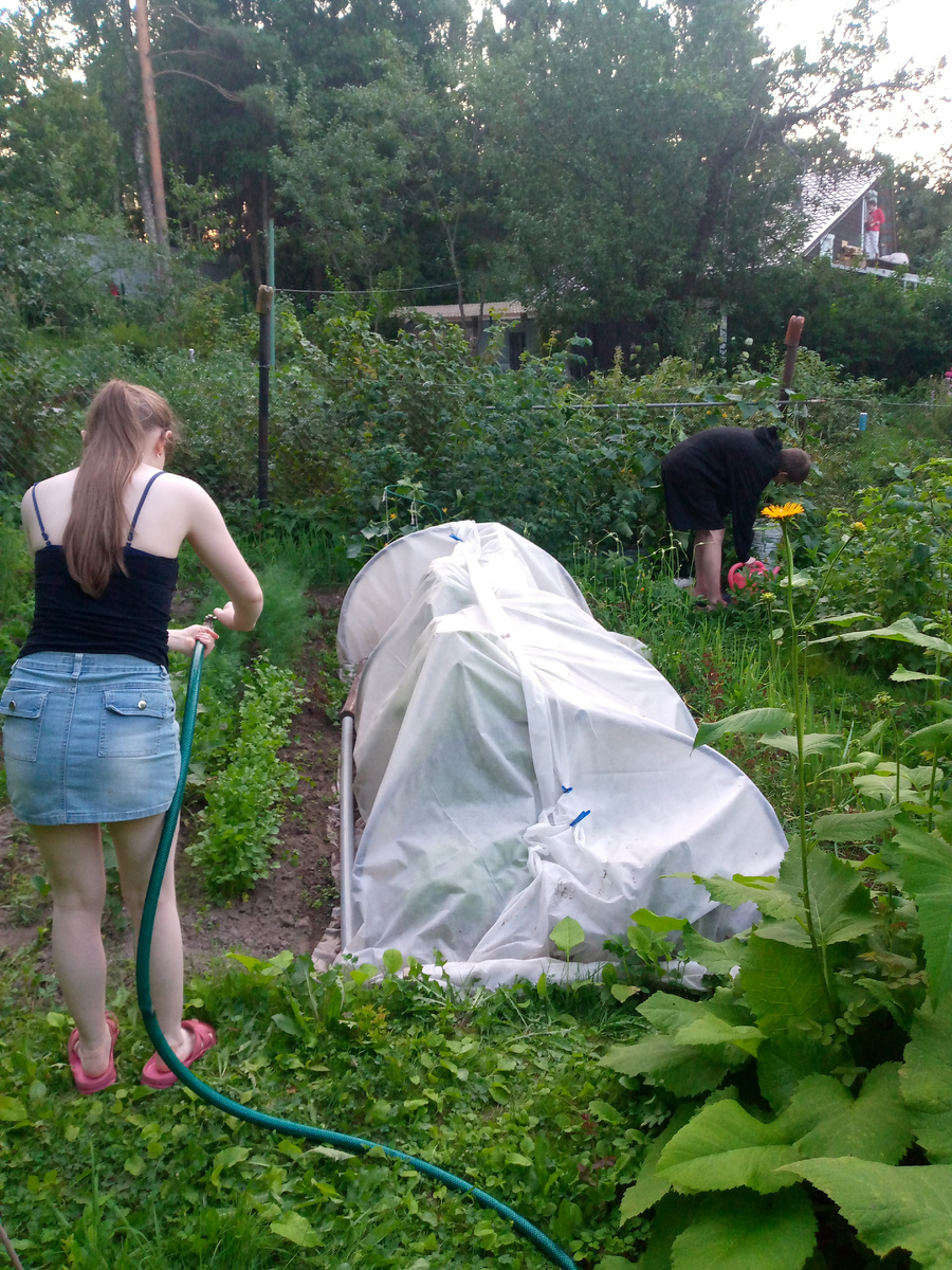 Дети выросли за это время. Помогают поливать.