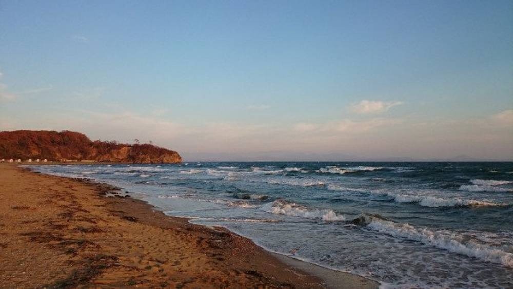 Вот она Шамора. Смотрите какая красавица. Листайте галерею. Фото, к сожалению из интернета, но обещаю исправлюсь