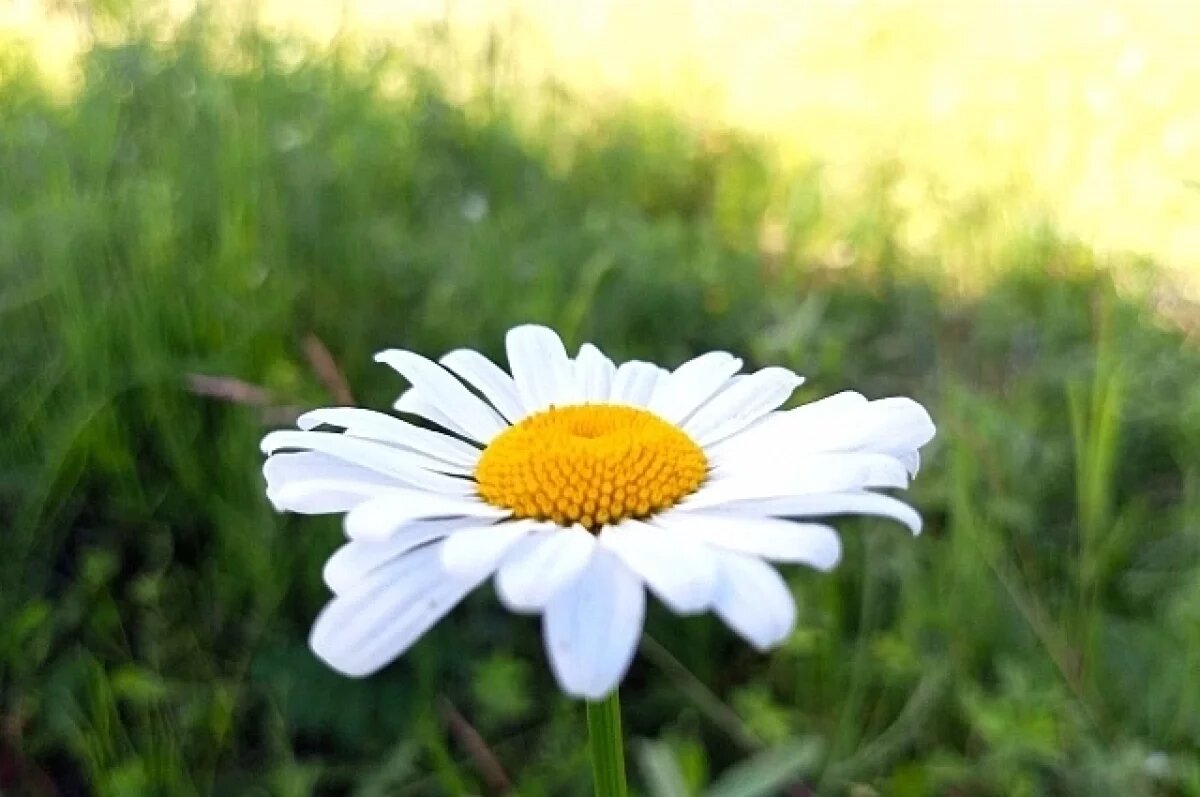    Жара выйдет на пик: какая погода будет в Хабаровском крае 17 июля