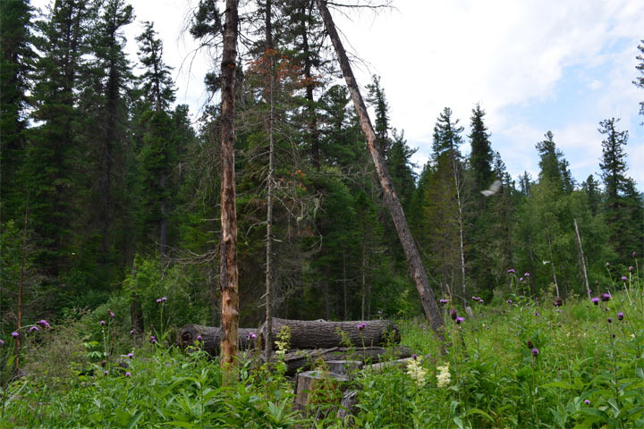 Фото:19rusinfo.ru 