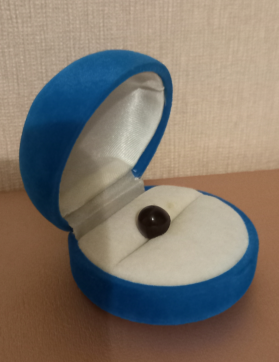 Та самая пуговица. Фото автора