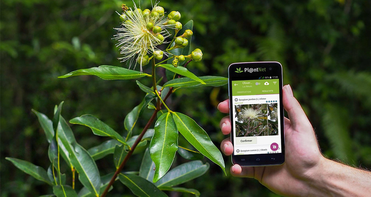 Фото взято с просторов интернета