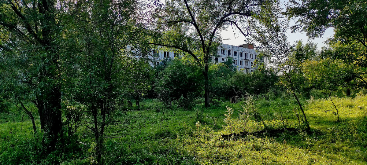 На удивление погода в тот день была солнечная, ливни уже прошли и нам удалось добраться. 