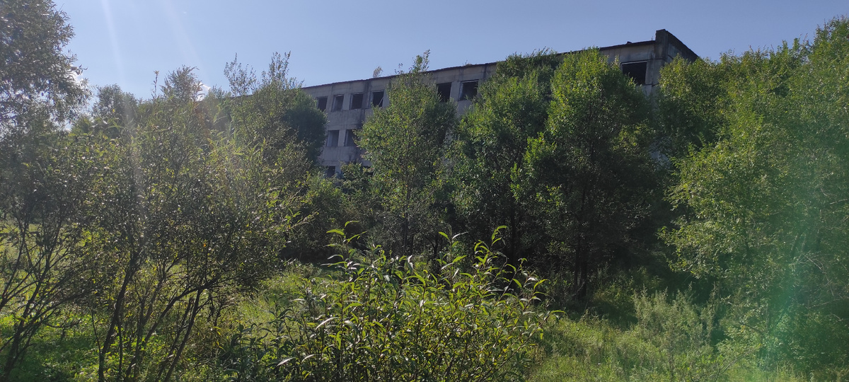 Погрязшие в кустарниках и деревьях панельные казармы, коих немало в данном гарнизоне. 