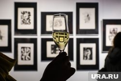    Имя Дмитрия Шагина убрали с информационного стенда на выставке в "Манеже"