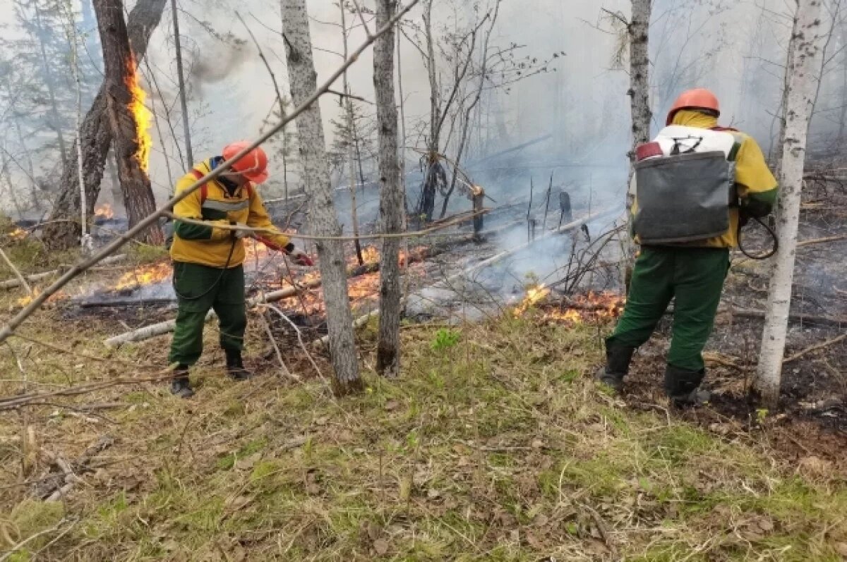    Более 30 лесных пожаров удалось ликвидировать за сутки в Забайкалье