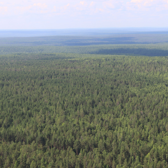 Депутаты Государственной думы России подготовили ко второму чтению итоговую версию законопроекта, меняющего режим охраны Байкала. Как сообщает издание РБК. В тексте предусмотрели ограничения на площадь рубки и возможность перевода земель лесного фонда в другие категории.