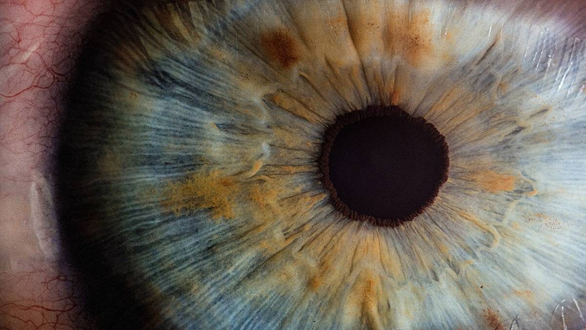    Фото: Unsplash