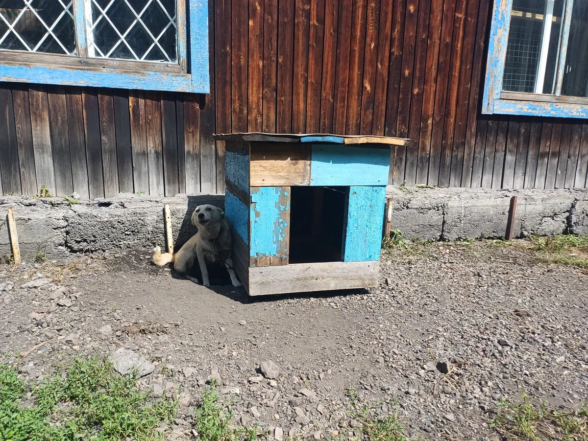 Добавьте описание