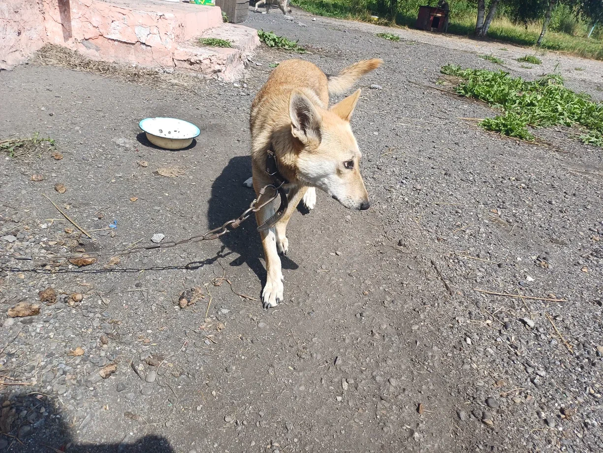 Добавьте описание