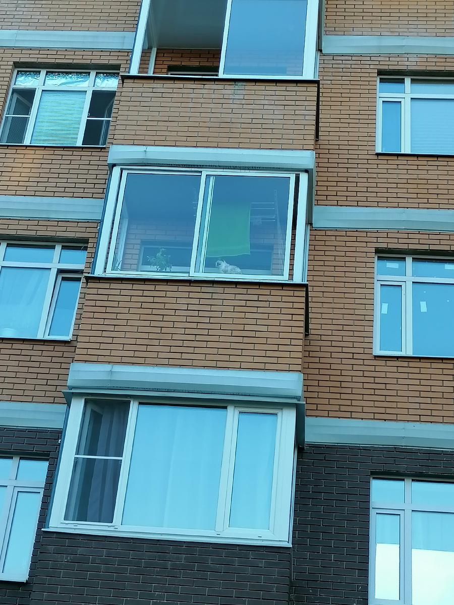 Вот так Мышка контролировала наши прогулки.