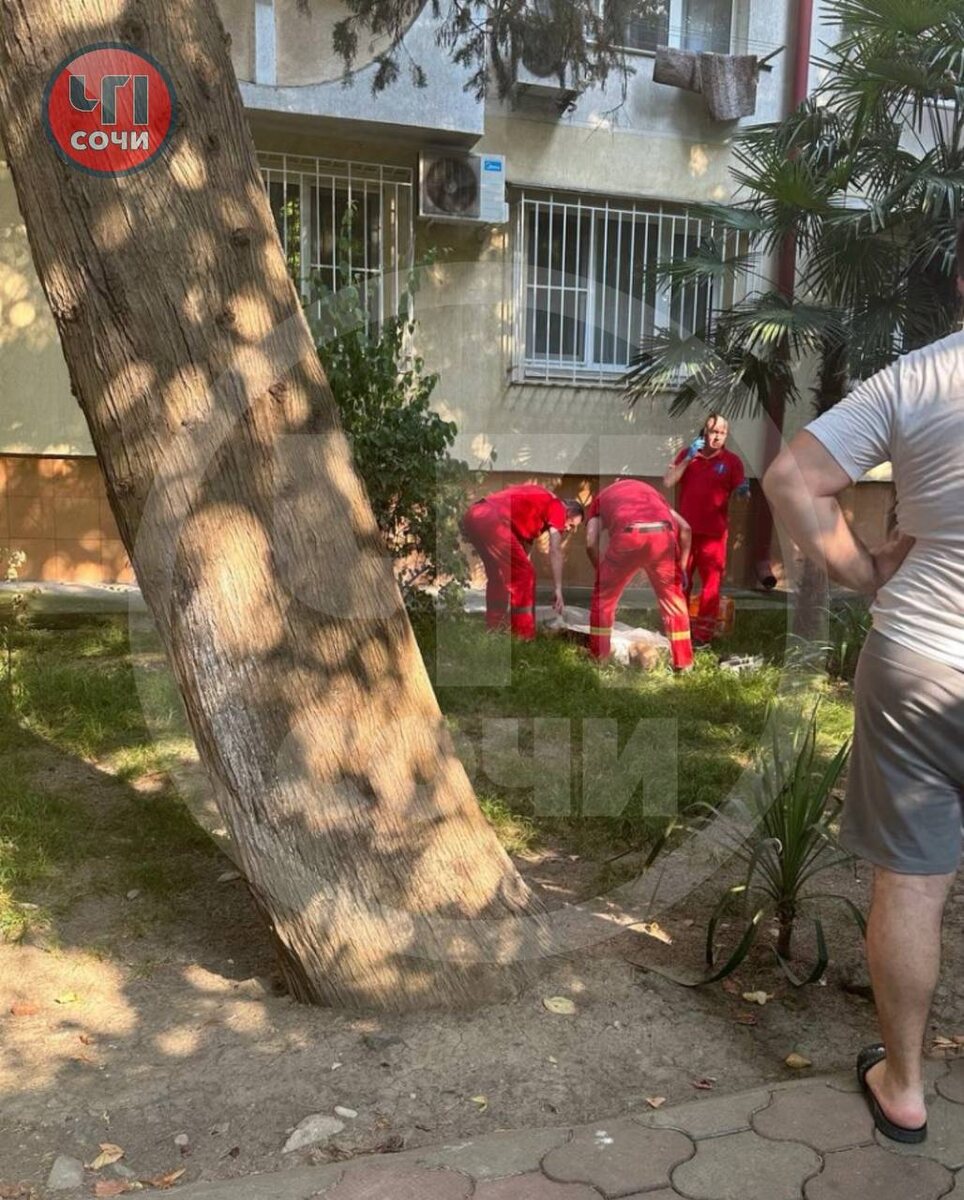 Трагедия в сочи девушку