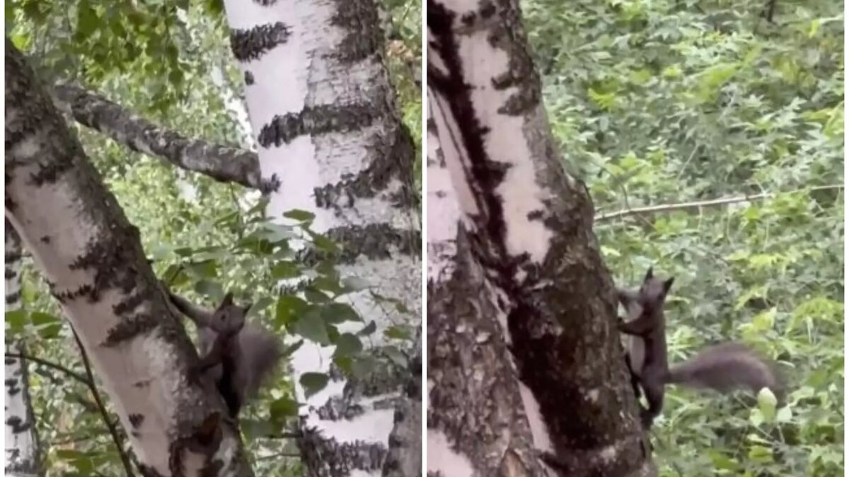     Источник: t.me/academy_town