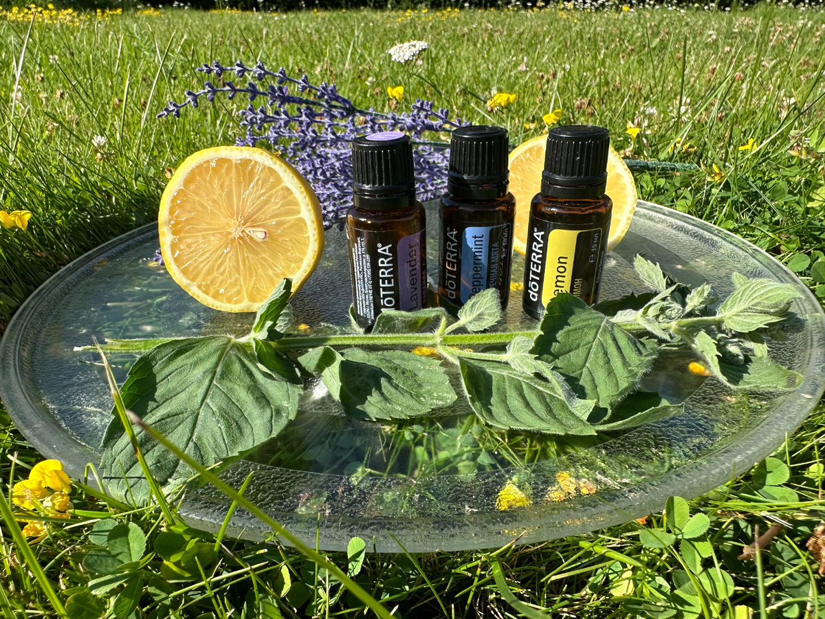 Натуральные эфирные масла мяты, лимона и лаванды помогут справиться с нервным напряжением, понизить температуру и снять озноб