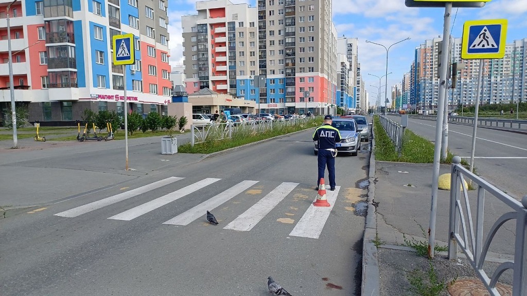    Фото ГАИ