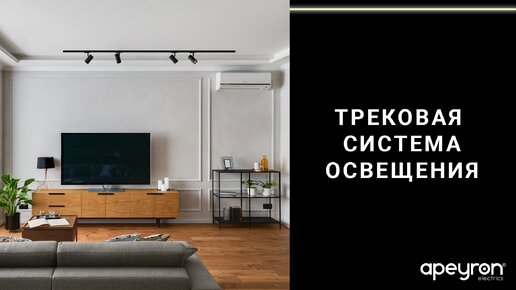 Однофазная трековая система