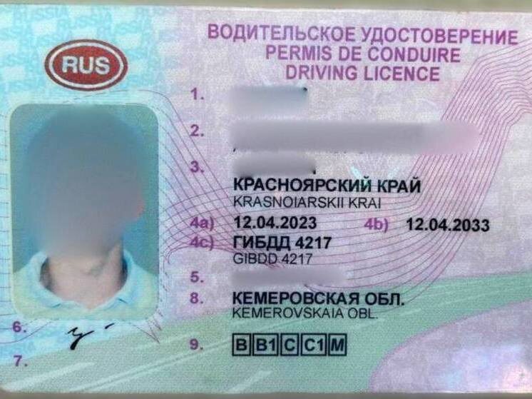     Фото: Пресс-служба ГИБДД по Красноярскому краю