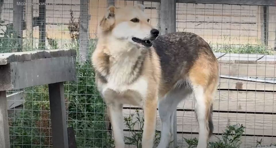    Телеканал «360»