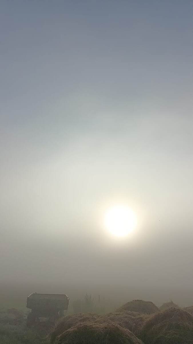 Вообще ничего не видно. Телегу только 😏