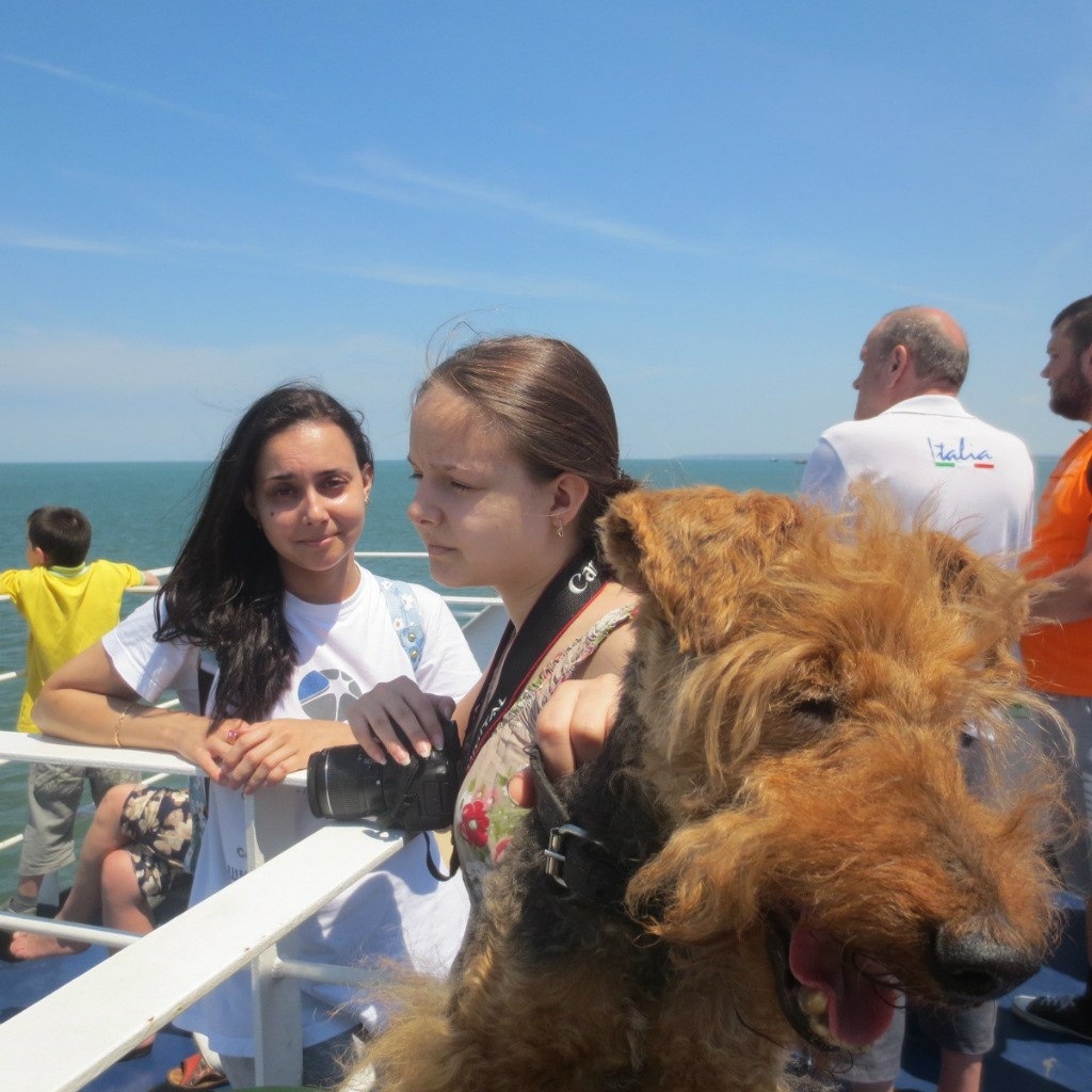 Добавьте описание