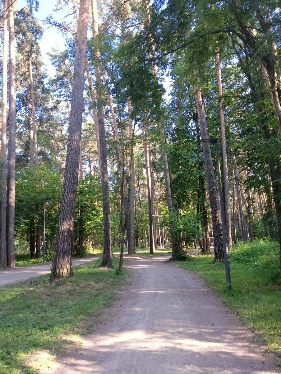 Парк Раздолье