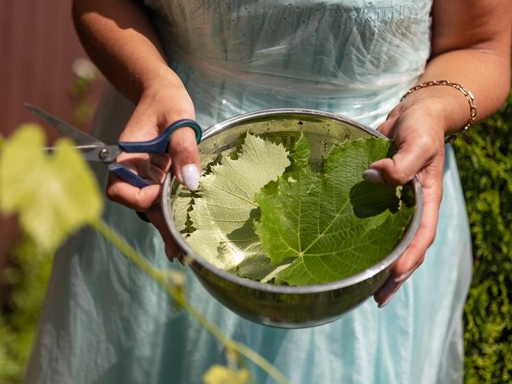 Фото: Алексей Дацковский