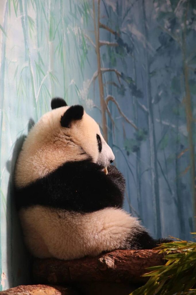 Осанка Катюши. Источник: t.me/svetlanaakulova1 Автор фото: Светлана Акулова📷
