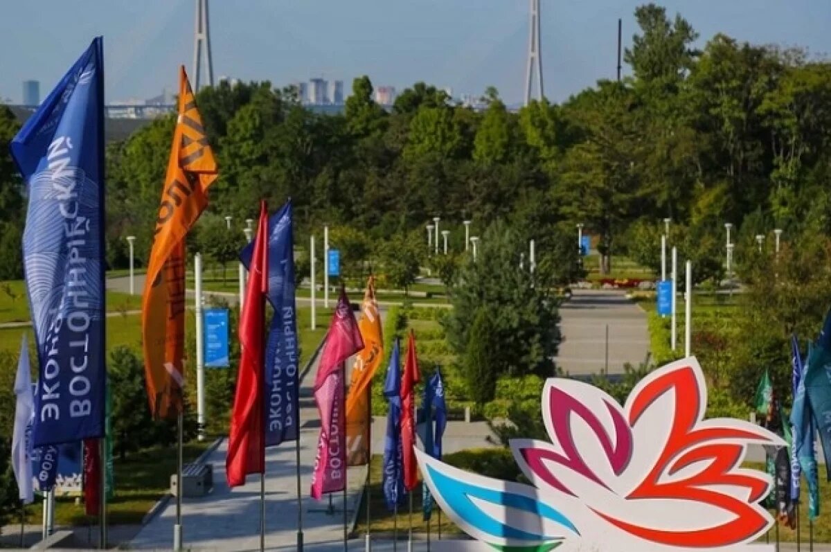    Дальневосточные регионы презентуют ключевые проекты на ВЭФ-2024