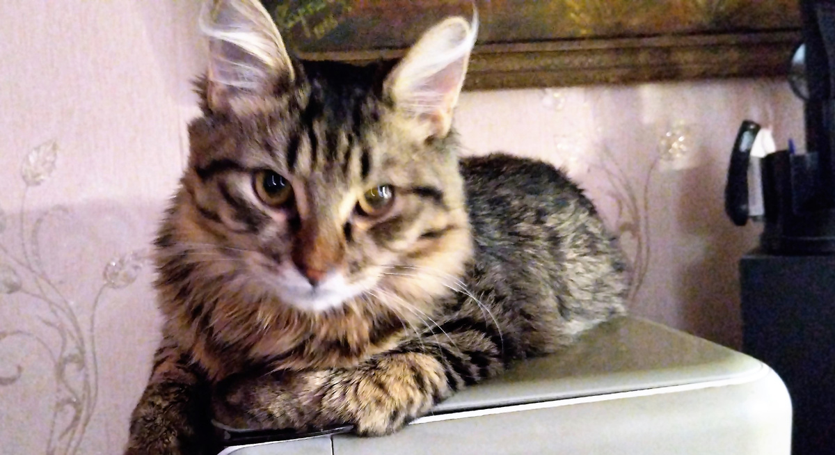 Благодарю Стаса КАРПОВА за фото Женька)