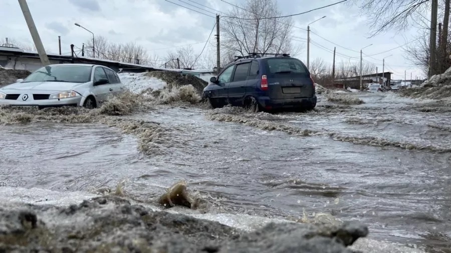 Фото: «Бийский рабочий»