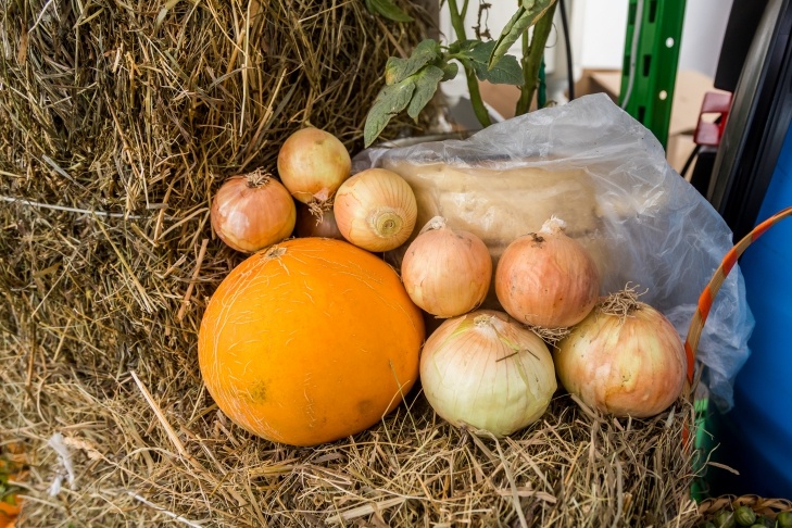    Фото Андрея Заржецкого