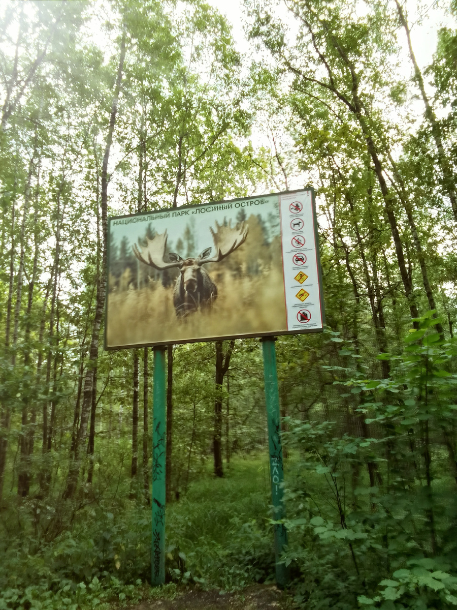 в парке 