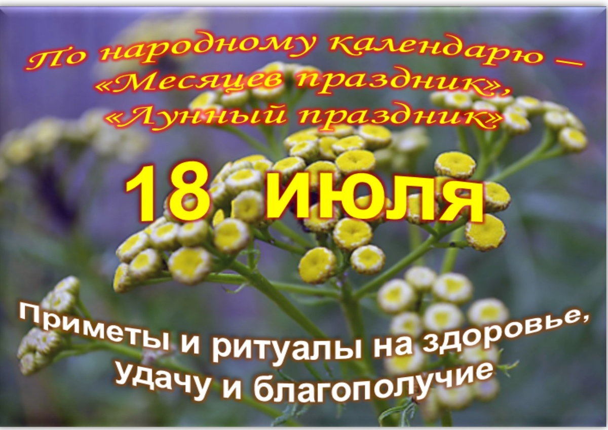 6 мая 24 год