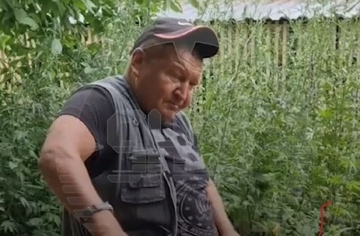 Фото: SHOT / Telegram