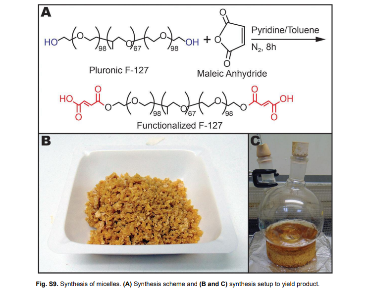 Синтез мицелл. Отчет в исследовании Сагар Гайквад  и др.,Иммунотерапия назальным тау устраняет внутриклеточную патологию тау и улучшает когнитивные функции у пожилых мышей с тауопатией. Sci. Transl. Med. 16 , eadj5958 (2024). DOI: 10.1126/scitranslmed.adj5958