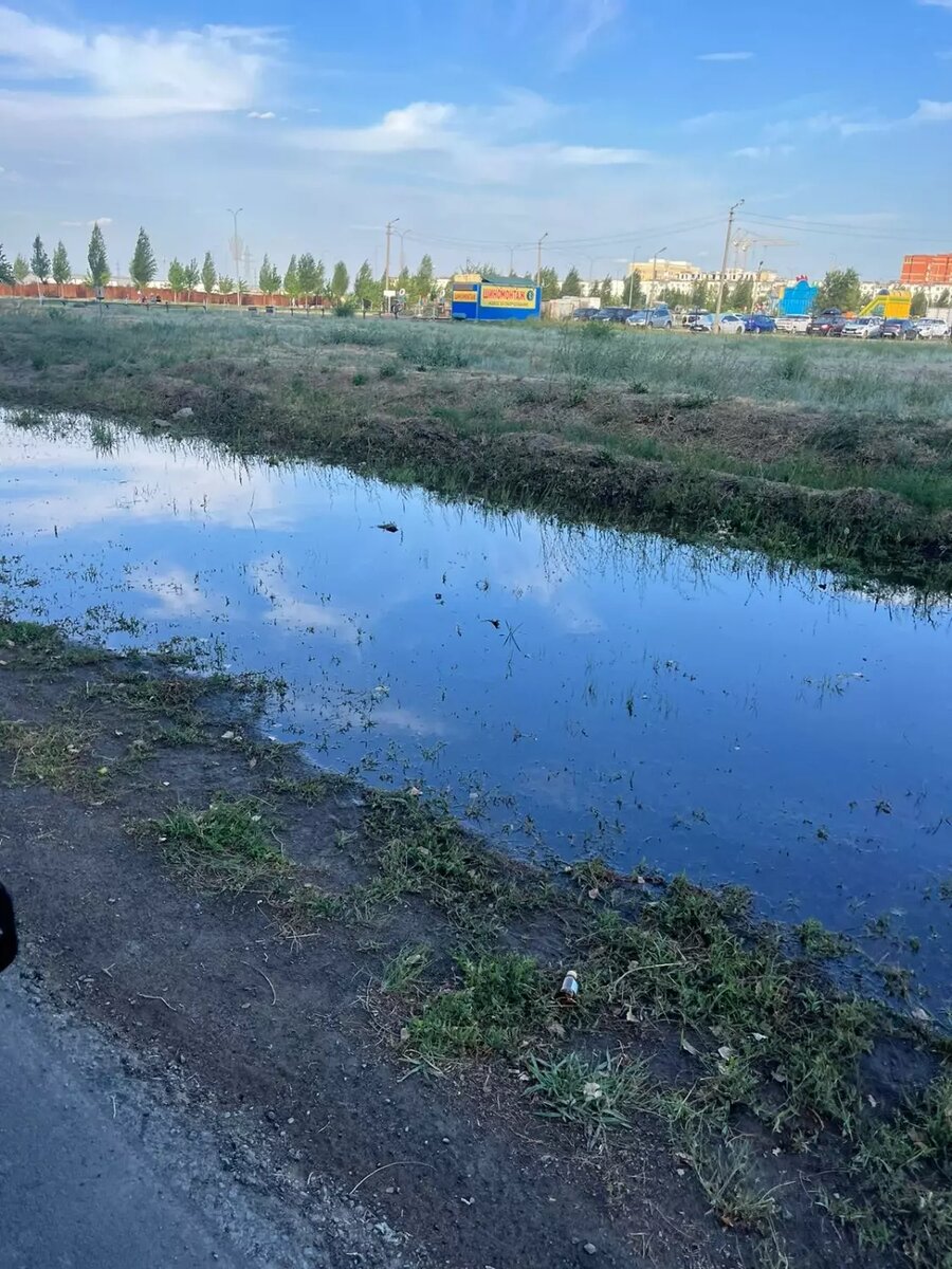     Источник: novostivolgograda.ru