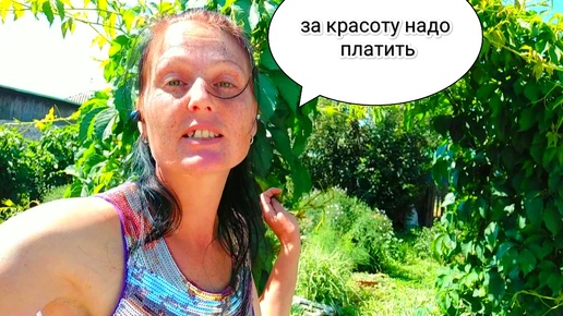 Легко ли без хозяйства? Почему не даю курам траву? Что снова сделала в саду?