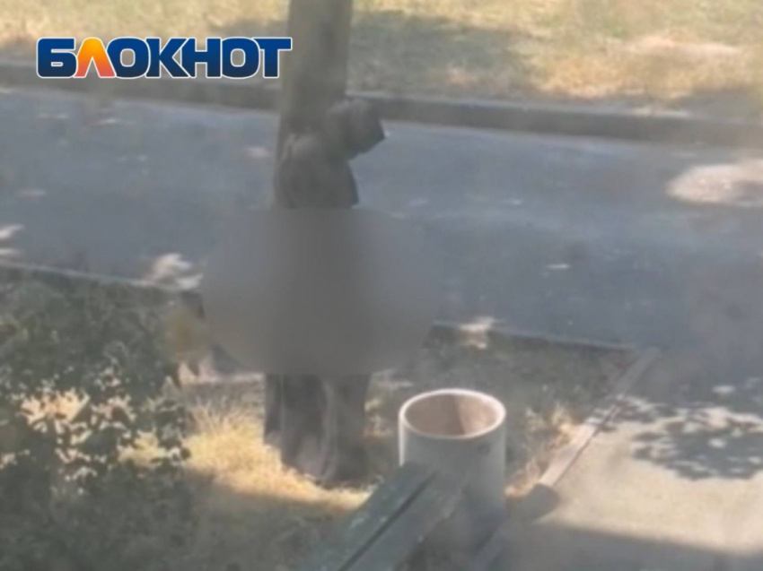 Скриншот с видео от читателей 
