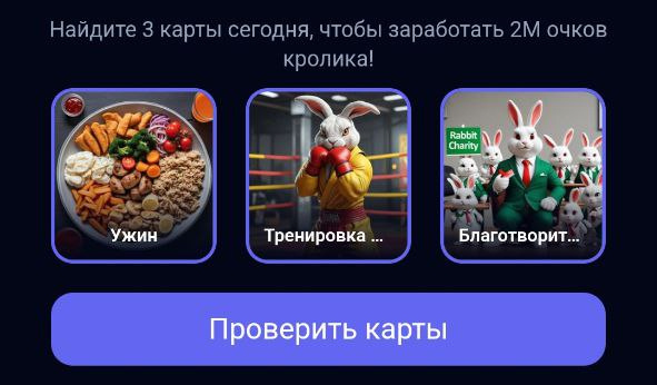 Комбо карточки для Rocky Rabbit от 17.07.2024 г.