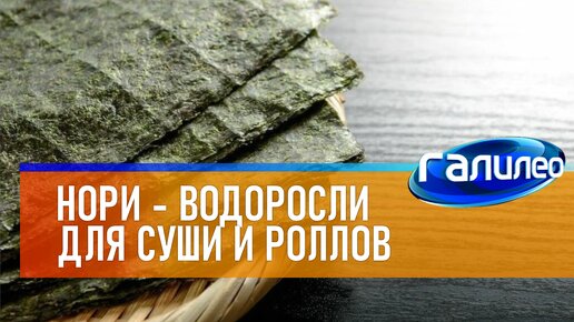 Галилео 🍣 Нори - водоросли для суши и роллов