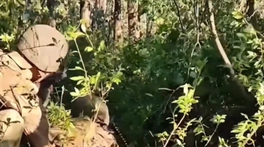    Скриншот видео РИА Новости