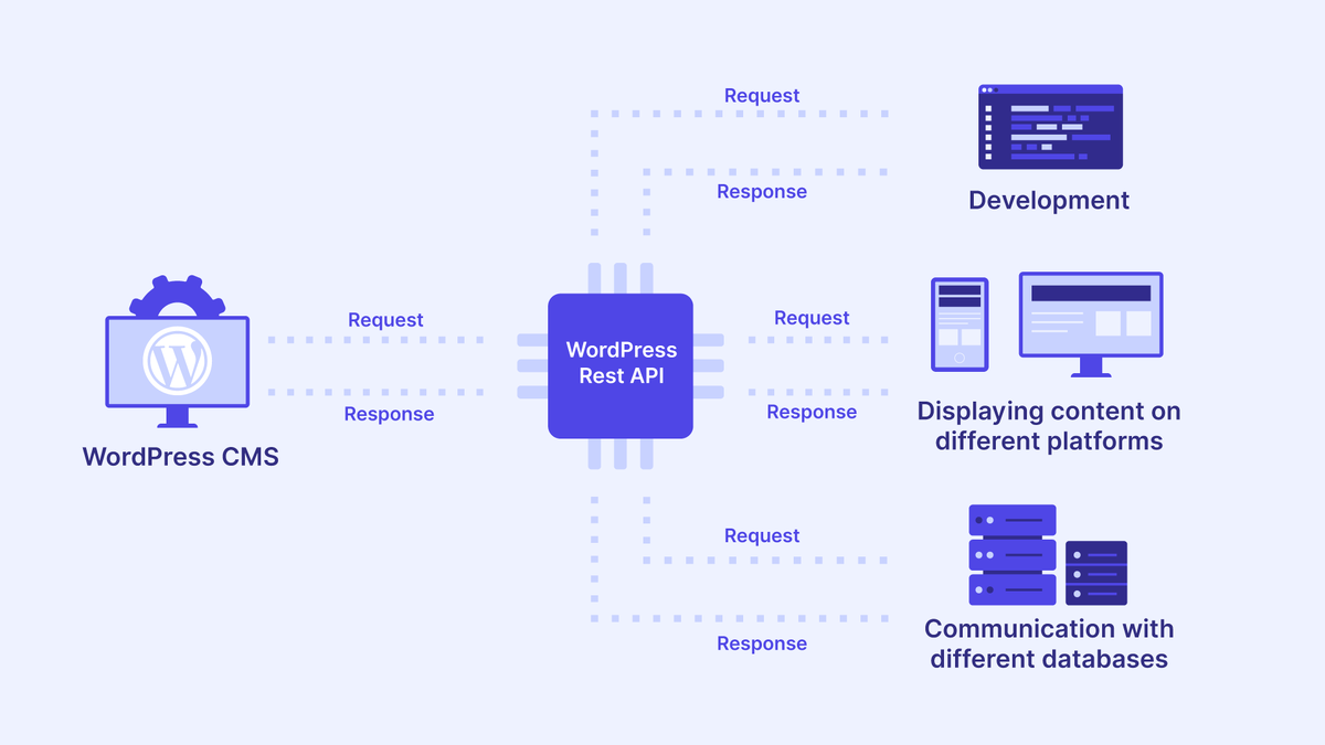 WordPress REST API: Откройте для себя мир возможностей | Быть Программистом  | Дзен