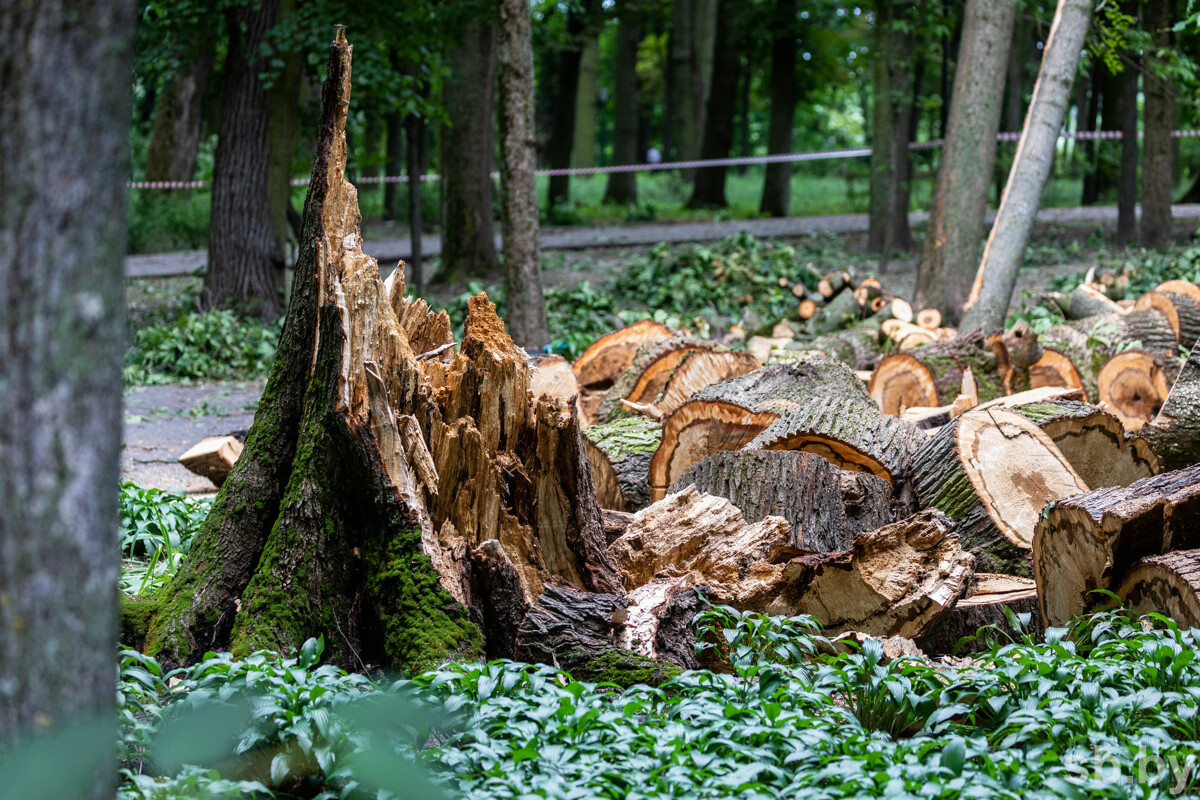    В Пинском районе 23 дома, которые пострадали от урагана, восстановлены