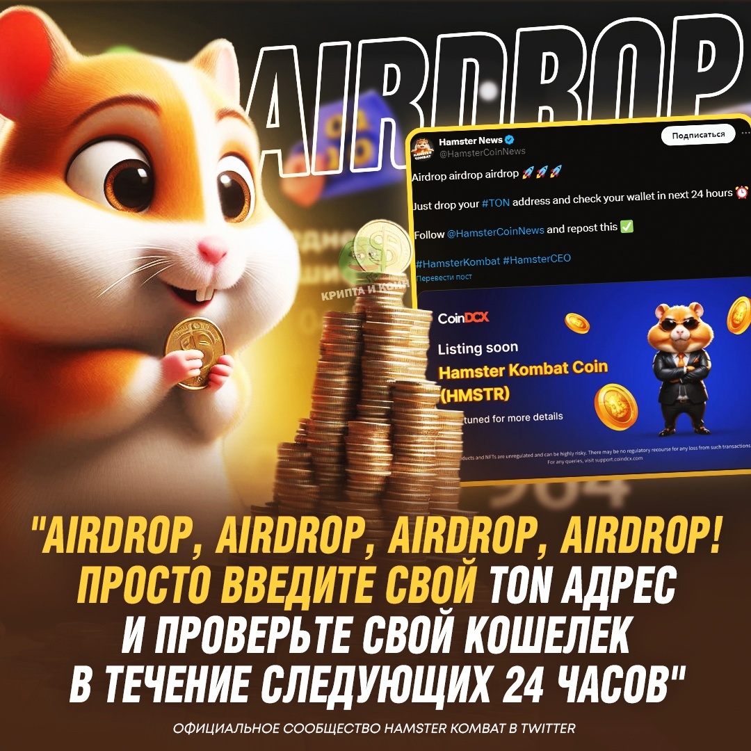 Как привязать кошелек в хомяке