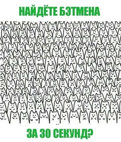 В 5 ряду снизу, 3 слева🦇