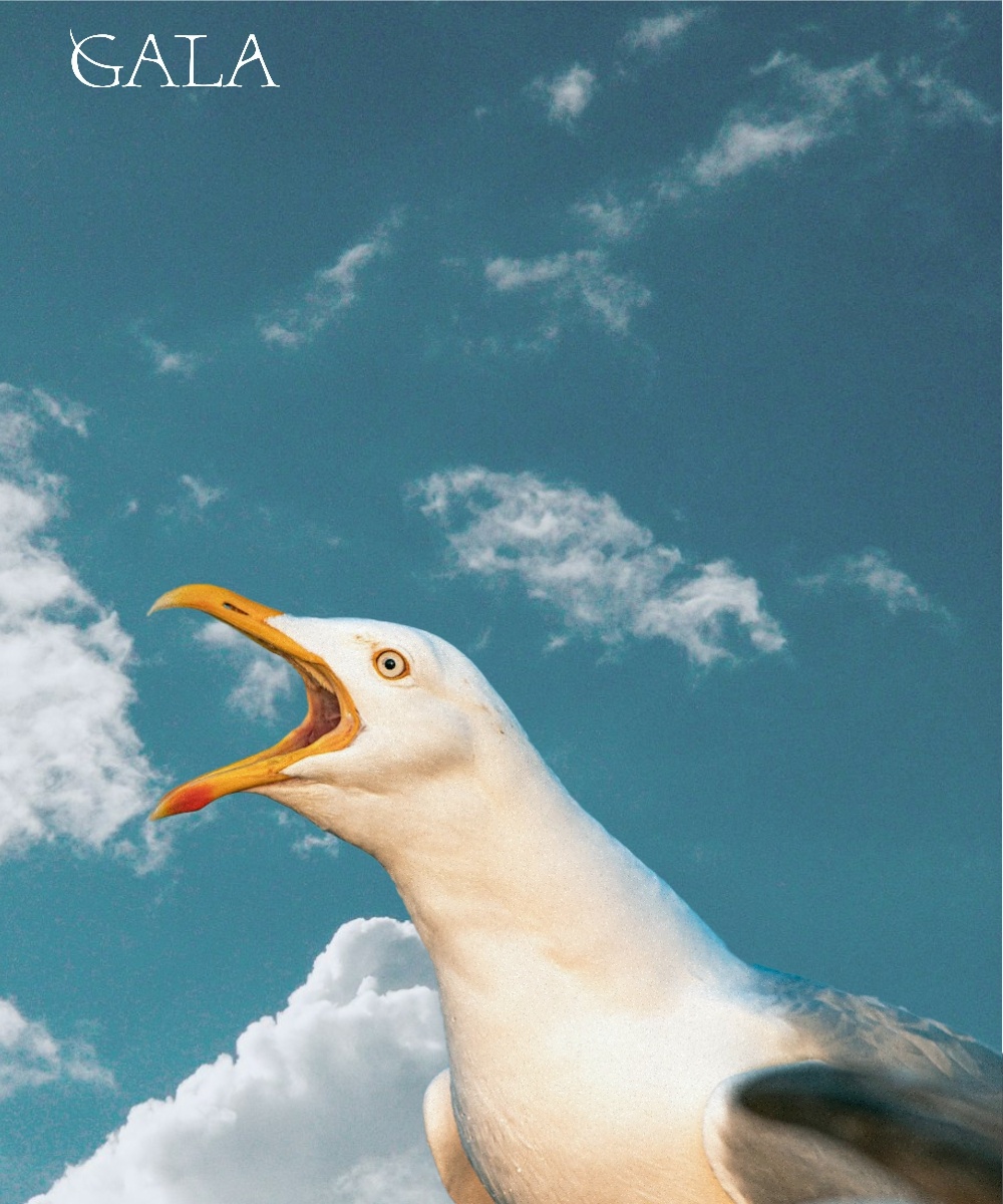 Автор фото: Ирина Звездина/GALA