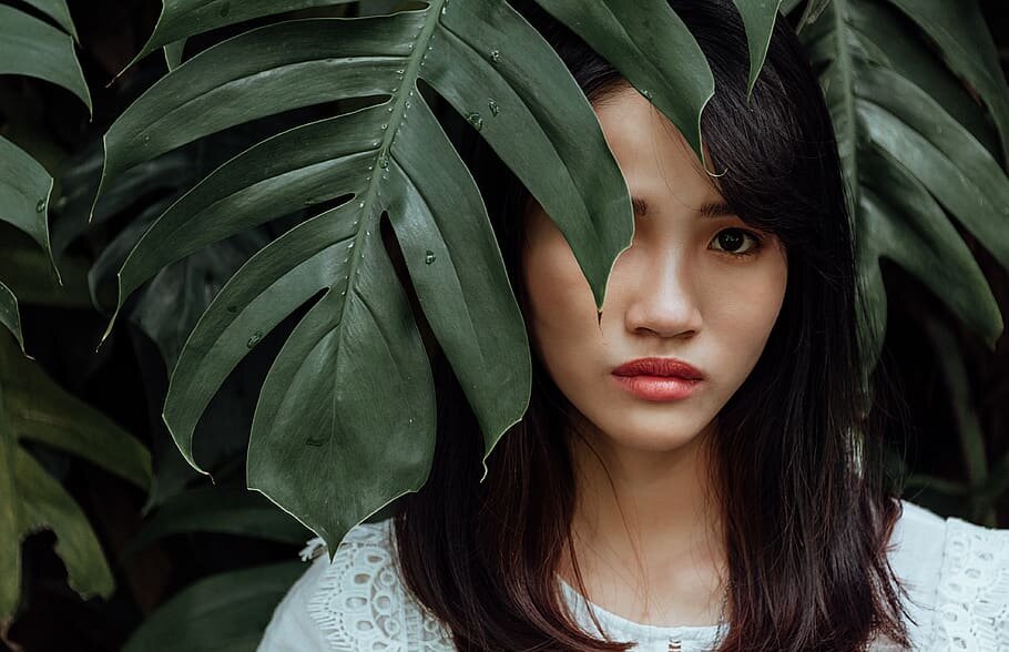 Изображение взято из бесплатного фото-банка